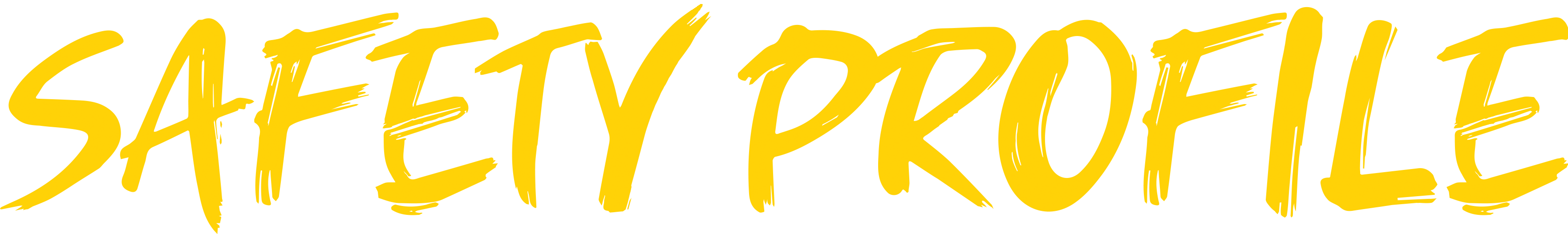  SAFETY PROFILE logo